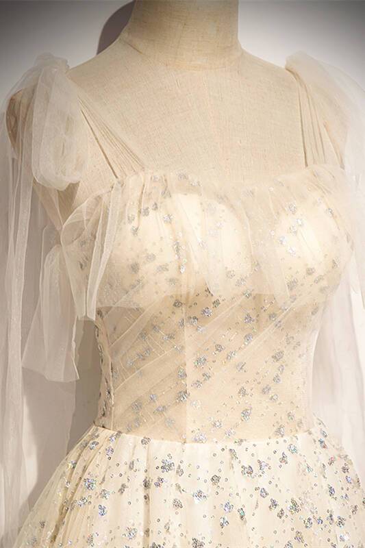 Sparkle Champagne Long Formal Dress with Tie HZ0307