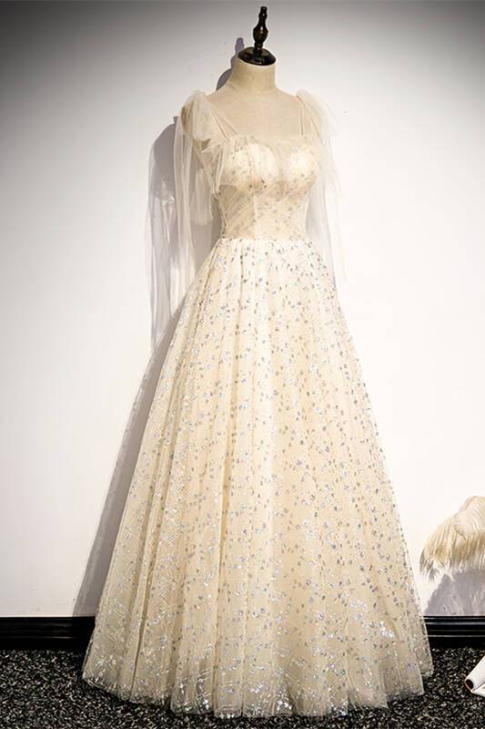 Sparkle Champagne Long Formal Dress with Tie HZ0307