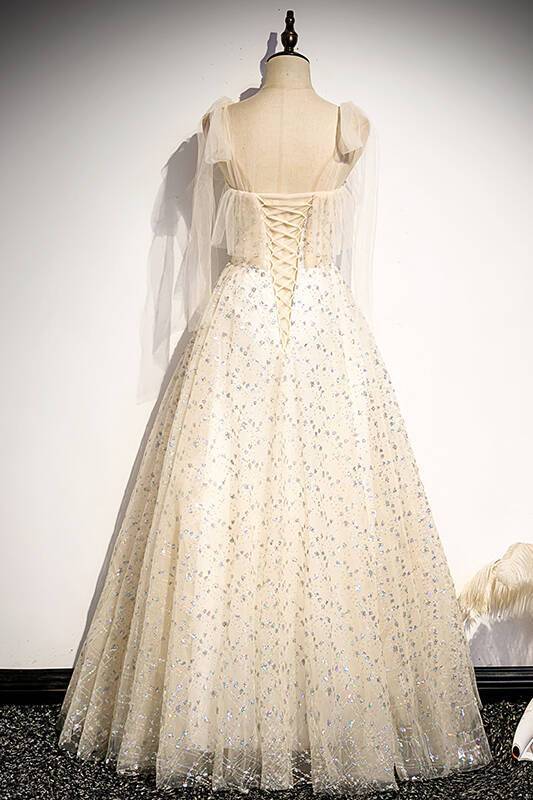 Sparkle Champagne Long Formal Dress with Tie HZ0307