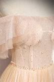 Off the Shoulder Pink Tulle Long Party HZ0307