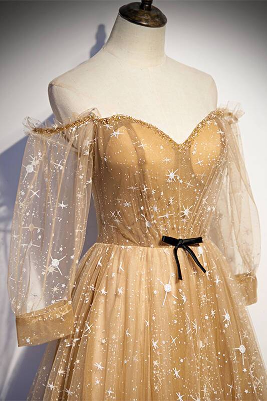 Long Sleeves Champagne Long Evening HZ0307