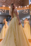 Spaghetti Straps A-Line Tulle Lace Prom HZ0307