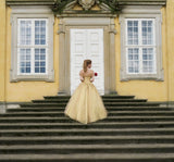 LTP0855,Off the shoulder prom dresses organza evening dresses gold yellow Cinderella princess ball gown a line formal HZ0307