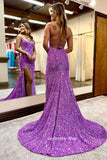 Sparkle V-Neck Sequined Long Formal Prom HZ0307